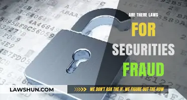 Understanding Securities Fraud Laws: Legal Protections and Penalties Explained