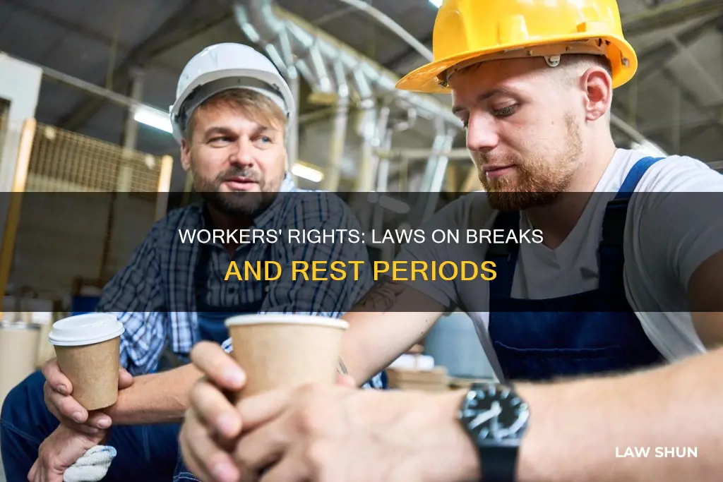 are there laws guarenteeing workers breaks