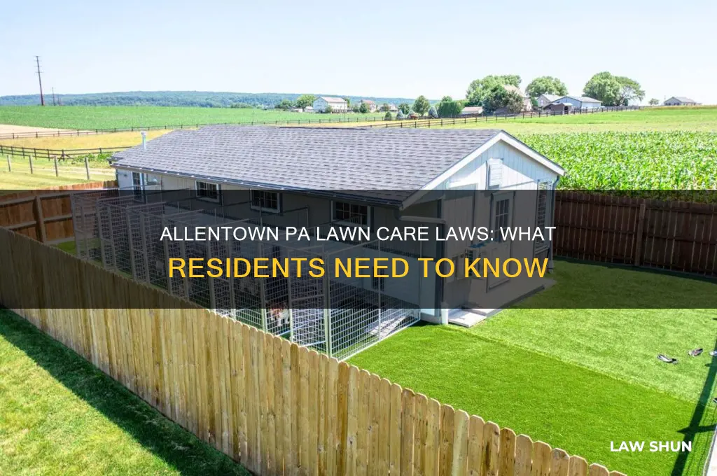 are there laws in allentown pa regarding lawn maintenance