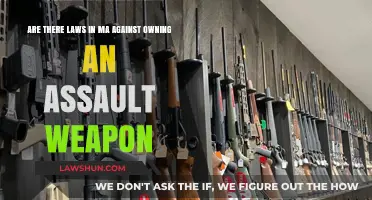 Massachusetts Assault Weapon Ownership: Legal Boundaries and Restrictions Explained