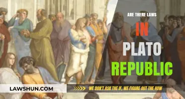 Exploring Plato's Republic: Legal Frameworks and Societal Governance