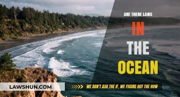 Navigating the High Seas: Understanding Ocean Laws and Governance