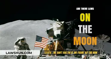 Lunar Legalities: Exploring the Laws Governing the Moon's Surface
