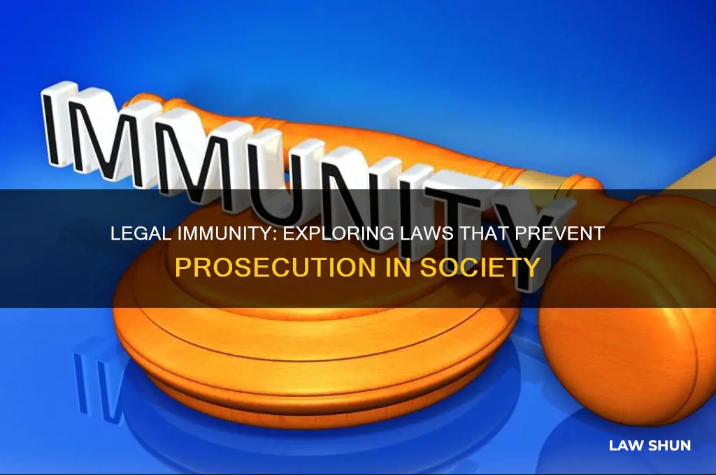 are there laws preventing prosecution of