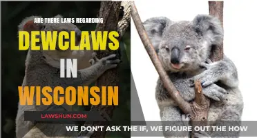Wisconsin Dewclaw Laws: What Pet Owners Need to Know