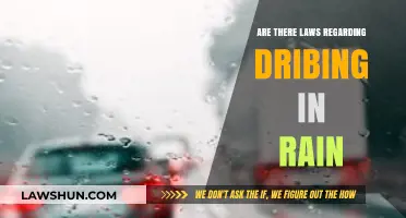 Driving in the Rain: Legal Requirements and Safety Regulations Explained