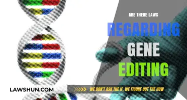 Gene Editing Regulations: Legal Boundaries and Ethical Considerations Explored
