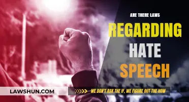 Understanding Hate Speech Laws: Legal Boundaries and Free Speech Limits