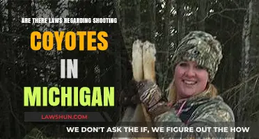 Michigan Coyote Shooting Laws: What You Need to Know