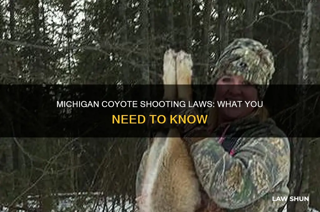 are there laws regarding shooting coyotes in michigan