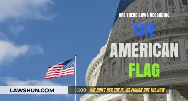 Understanding Legal Protections and Respect for the American Flag