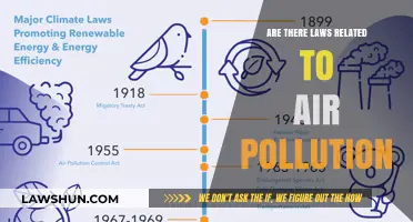 Understanding Air Pollution Laws: Regulations and Their Impact on Our Environment