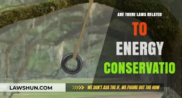 Energy Conservation Laws: Legal Frameworks for Sustainable Resource Management