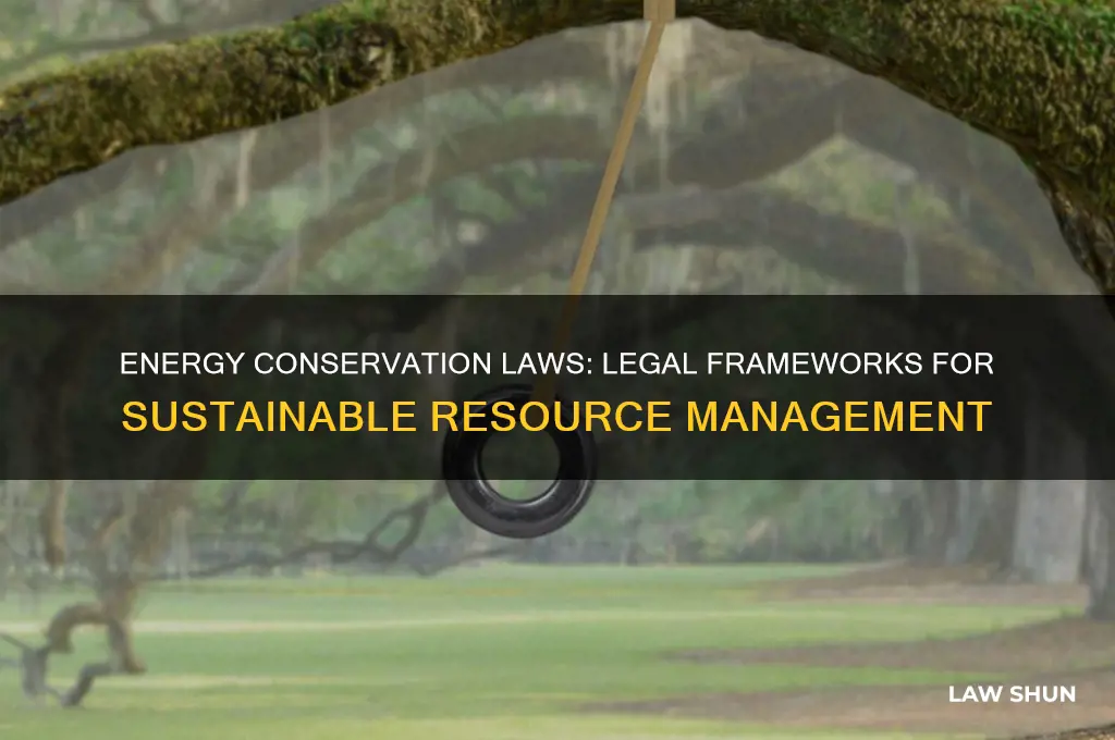 are there laws related to energy conservation