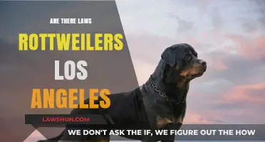 Rottweiler Regulations in Los Angeles: Understanding Local Breed-Specific Laws