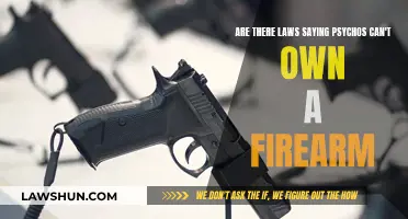 Psycho Gun Control: Are There Laws in Place?