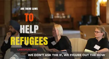 Understanding Legal Protections: Laws Supporting Refugees Worldwide Explained