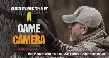 Game Camera Laws: Where Can You Legally Put Them?