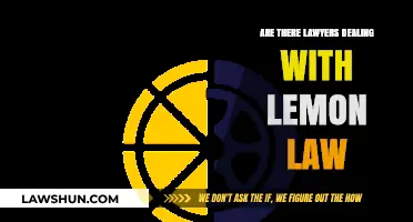 Finding Legal Help: Lawyers Specializing in Lemon Law Cases Explained