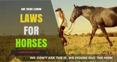Do Lemon Laws Apply to Horses? Understanding Your Rights as a Buyer