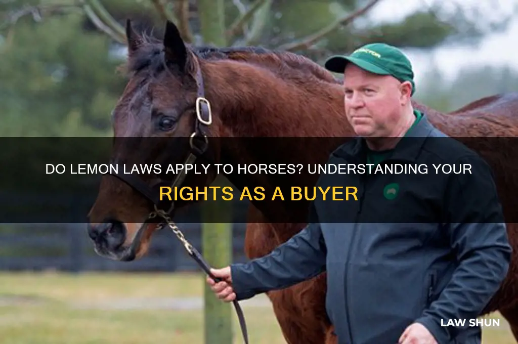 are there lemon laws for horses