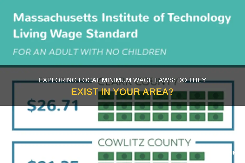 are there local minimum wage laws