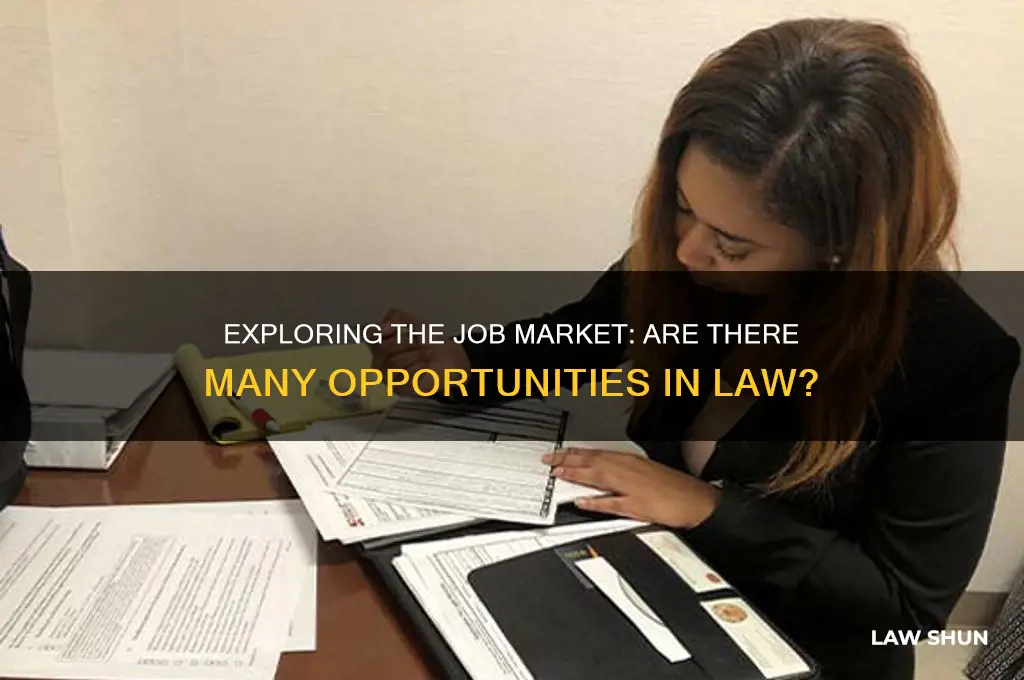 are there many jobs in law