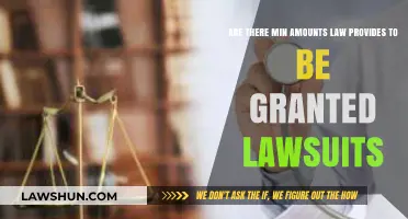 Understanding Minimum Amount Requirements for Filing Lawsuits Under the Law
