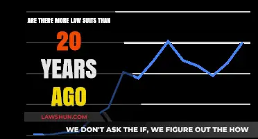 Rising Litigation: Analyzing the Surge in Lawsuits Over Two Decades