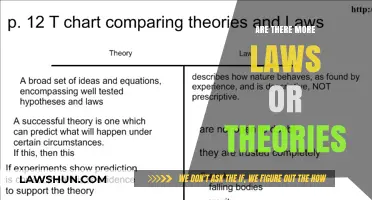 Laws vs. Theories: Unraveling the Complexities of Human Understanding