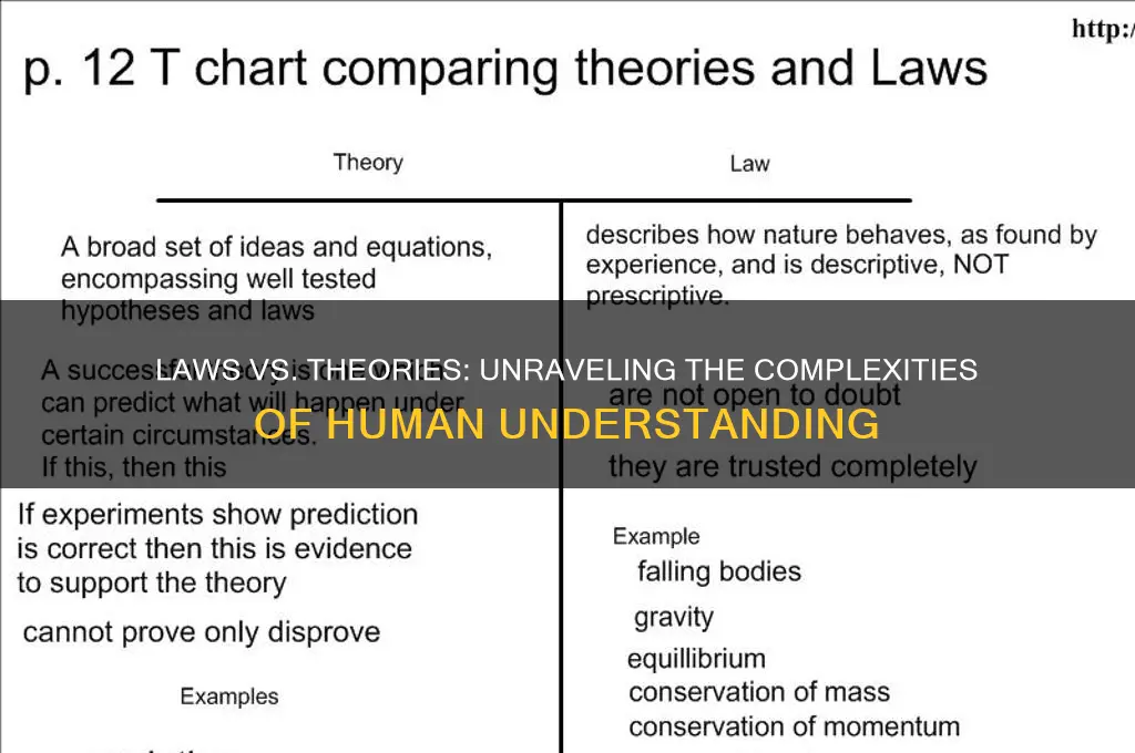 are there more laws or theories