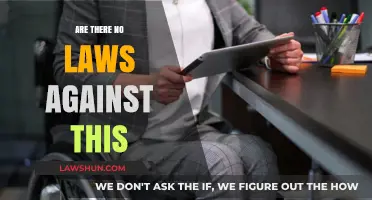 Are There No Laws Against This? Exploring Legal Gaps and Loopholes