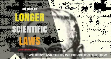 Are Scientific Laws Becoming Obsolete in Modern Science?