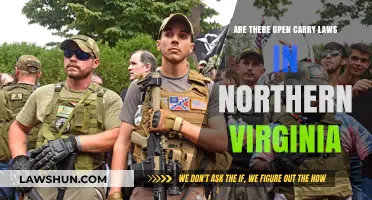 Open Carry Laws in Northern Virginia: What You Need to Know