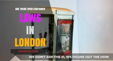 London's Open Container Laws: What You Need to Know