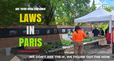 Paris Open Container Laws: What Tourists Need to Know