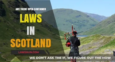 Exploring Scotland's Open Container Laws: What You Need to Know
