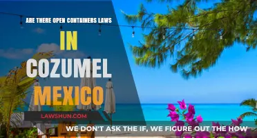 Open Container Laws in Cozumel, Mexico: What Tourists Need to Know