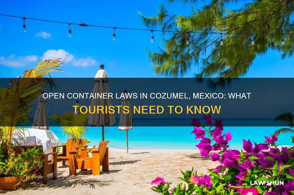 are there open containers laws in cozumel mexico