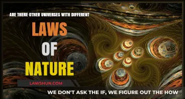 Exploring Nature's Laws Across Multiple Universes