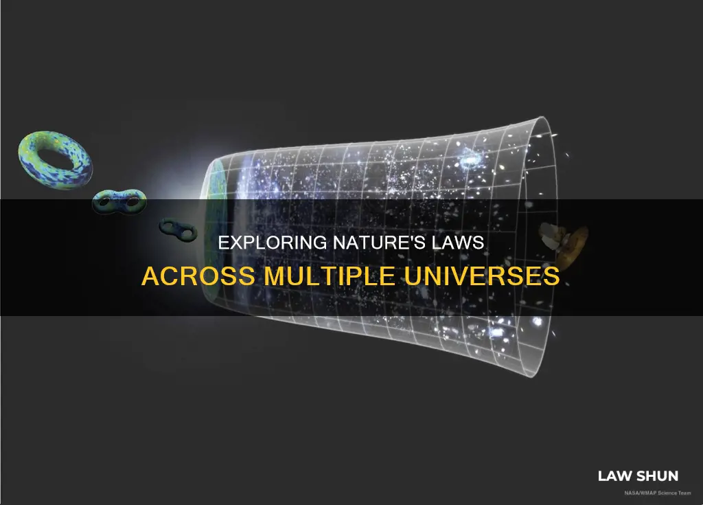 are there other universes with different laws of nature