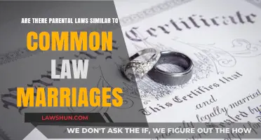 Parental Rights: Laws Without Marriage