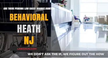Hampton Behavioral Health: Lawsuits and Legal Woes