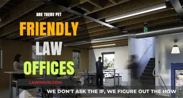 Pet-Friendly Law Offices: Welcoming Furry Companions to Legal Spaces