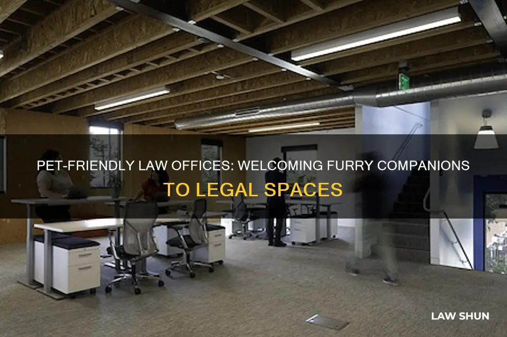 are there pet friendly law offices