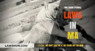 Understanding Massachusetts Pitbull Laws: Restrictions, Ownership, and Legal Implications