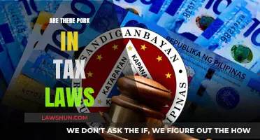Tax Laws: Where's the Pork?