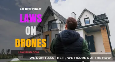 Drone Privacy Laws: Protecting Your Rights in the Sky