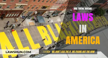 Racial Laws in America: Understanding Their History and Impact Today