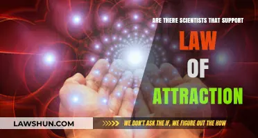 Scientists and the Law of Attraction: Exploring the Evidence and Opinions